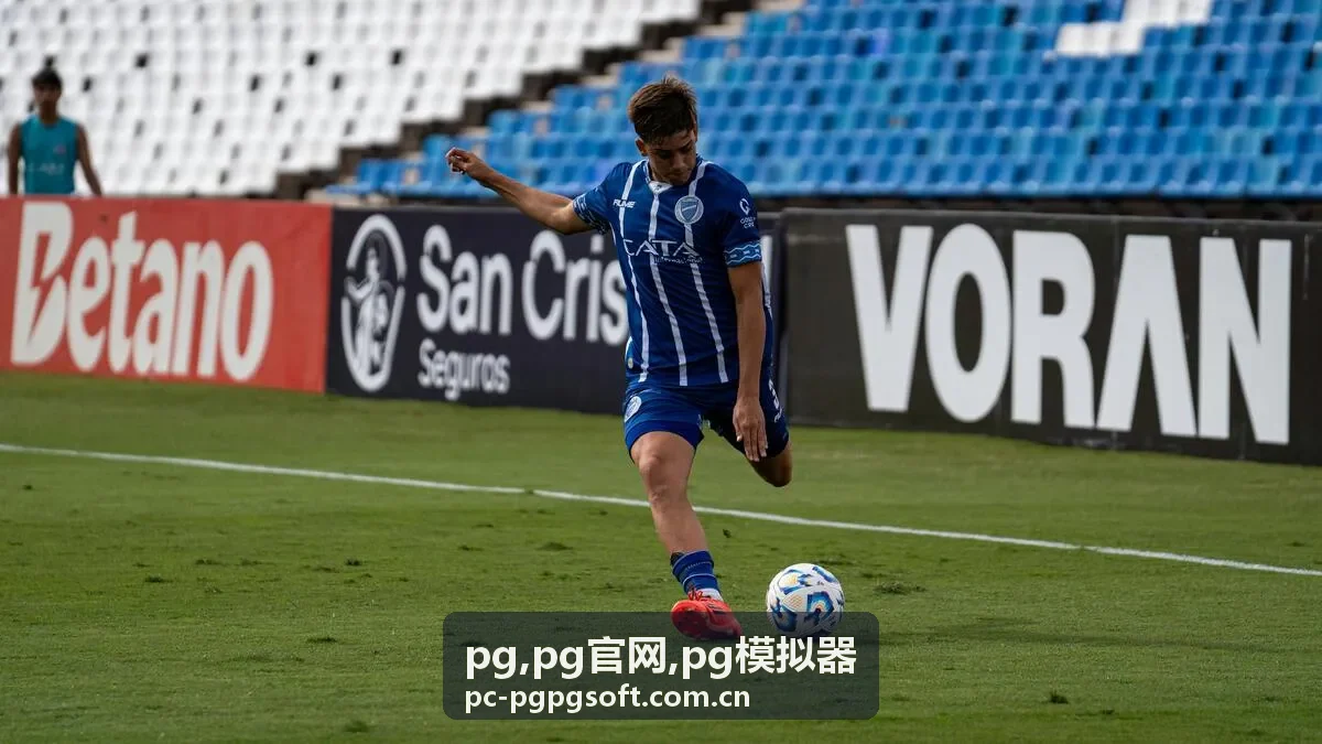 PG 定制模拟方案 - 行业专用适配